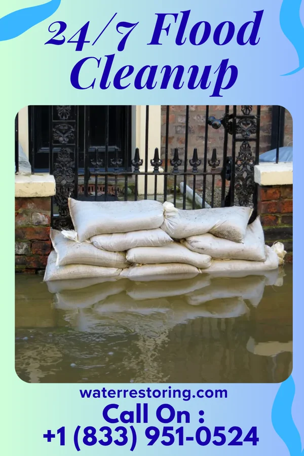 24/7 Flood Cleanup in Gillis, LA
