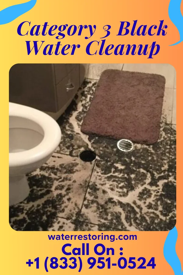 Category 3 Black Water Cleanup in Gillis, LA