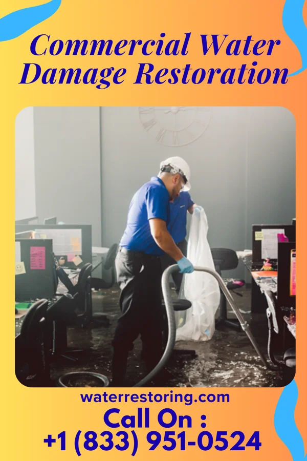 Commercial Water Damage Restoration in Gillis, LA