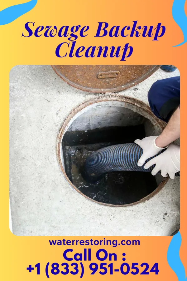 Sewage Backup Cleanup in Gillis, LA