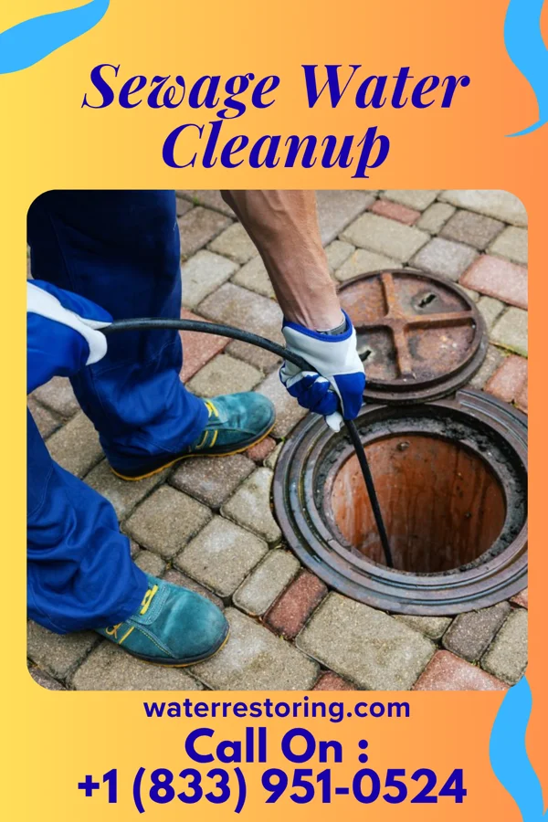 Sewage Water Cleanup in Gillis, LA